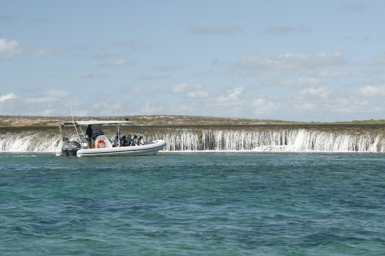 Waterfall Reef Sea Safari in Cygnet Bay