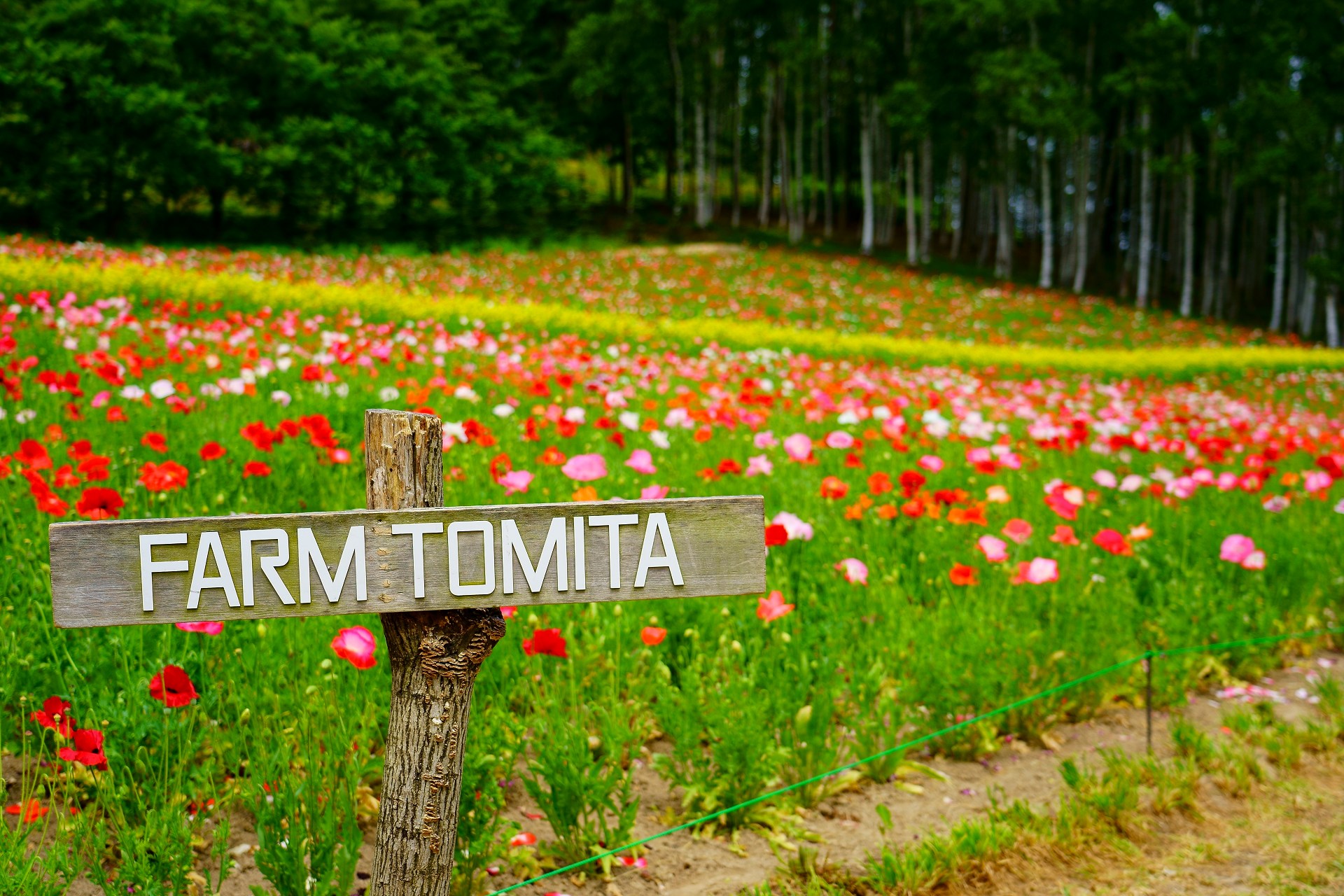 [Hokkaido] Try 