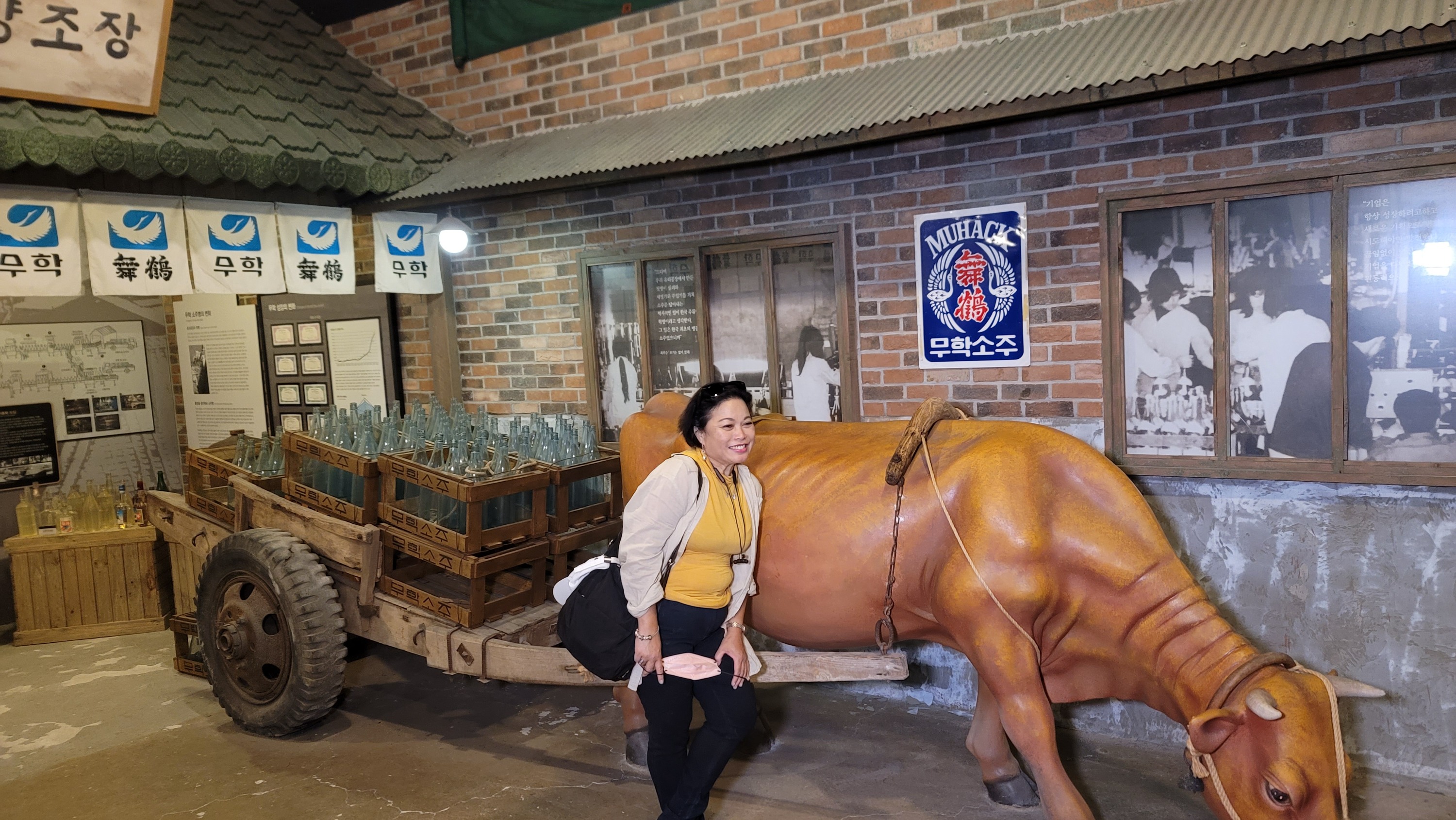 燒酒工廠 & 島嶼公園之旅（釜山出發）