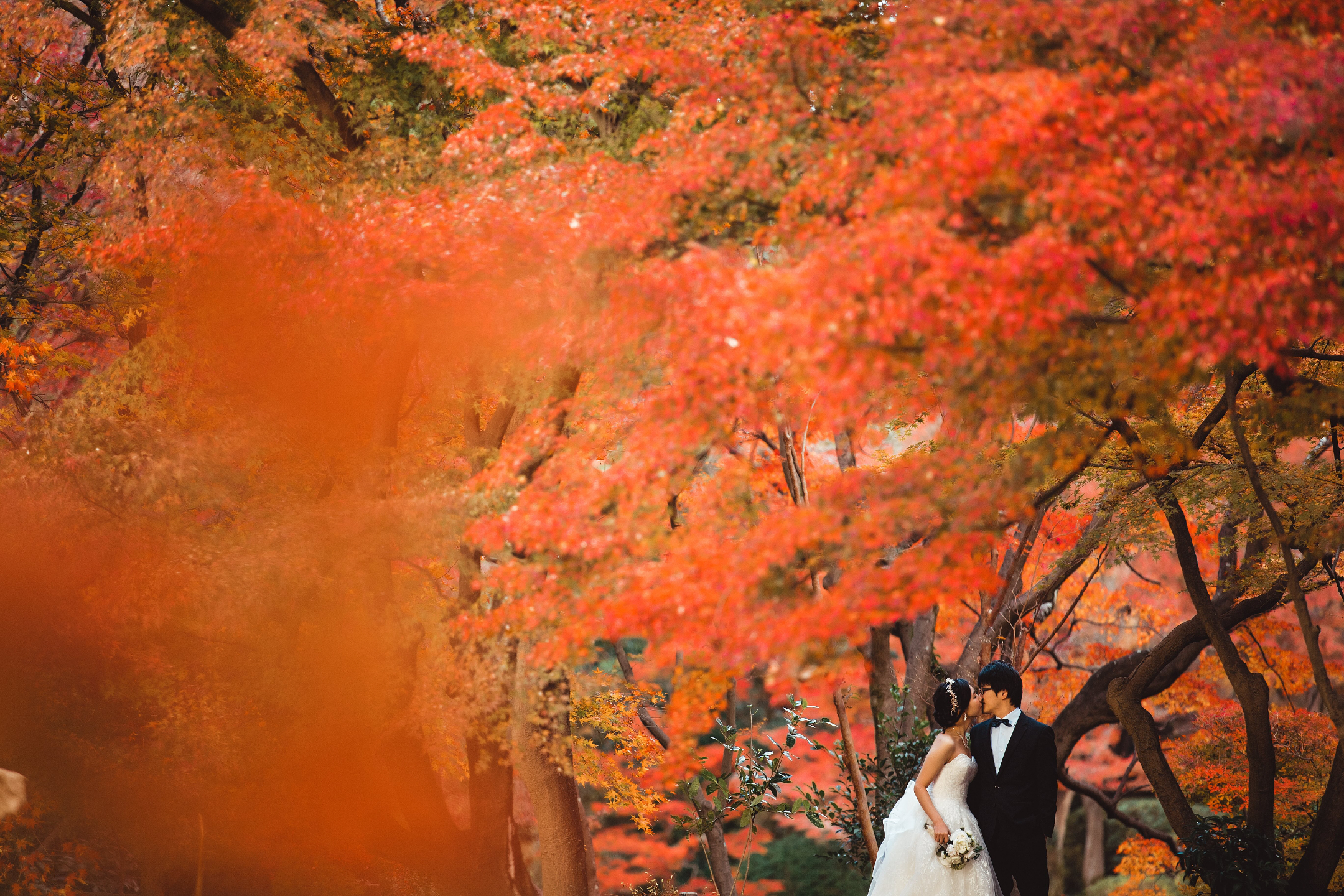 奈良公園 - 廣闊的公園,有自由漫步的鹿群,並可欣賞東大寺的景色,提供有趣且標誌性的畫面。 奈良公園 - 廣闊的公園,有自由漫步的鹿群,並可欣賞東大寺的景色,提供有趣且標誌性的畫面。