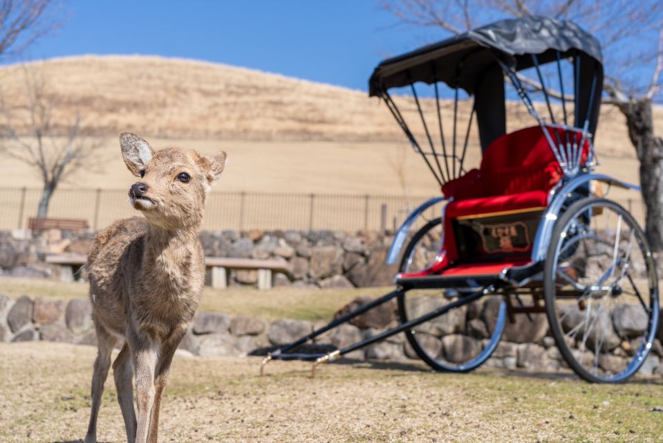 Nara City, Private Cultural Heritage Rickshaw Tour