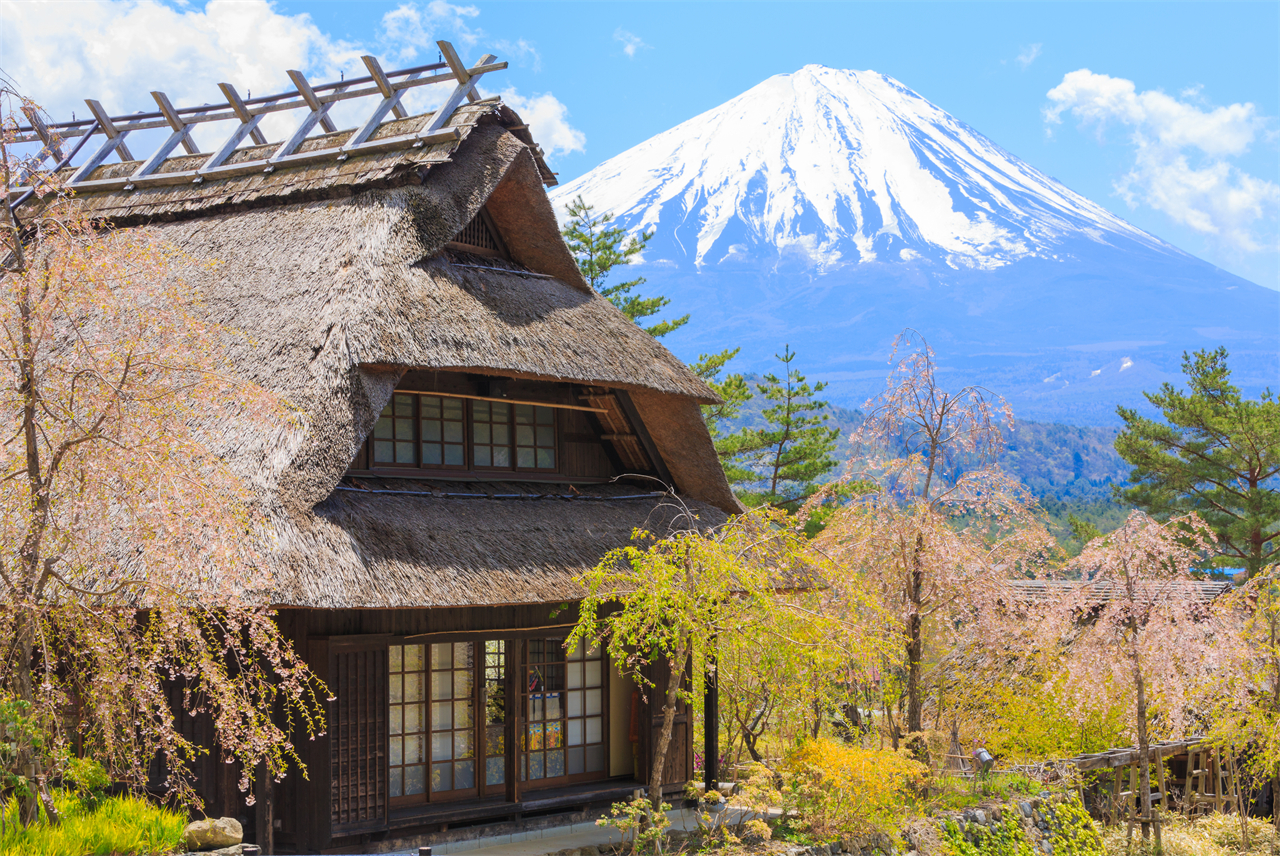 富士山一日遊 網紅打卡景點 | 新倉山淺間公園、西湖療愈之里根場、忍野八海、河口湖大石公園 | 隨機贈送好運信物 （東京出發）