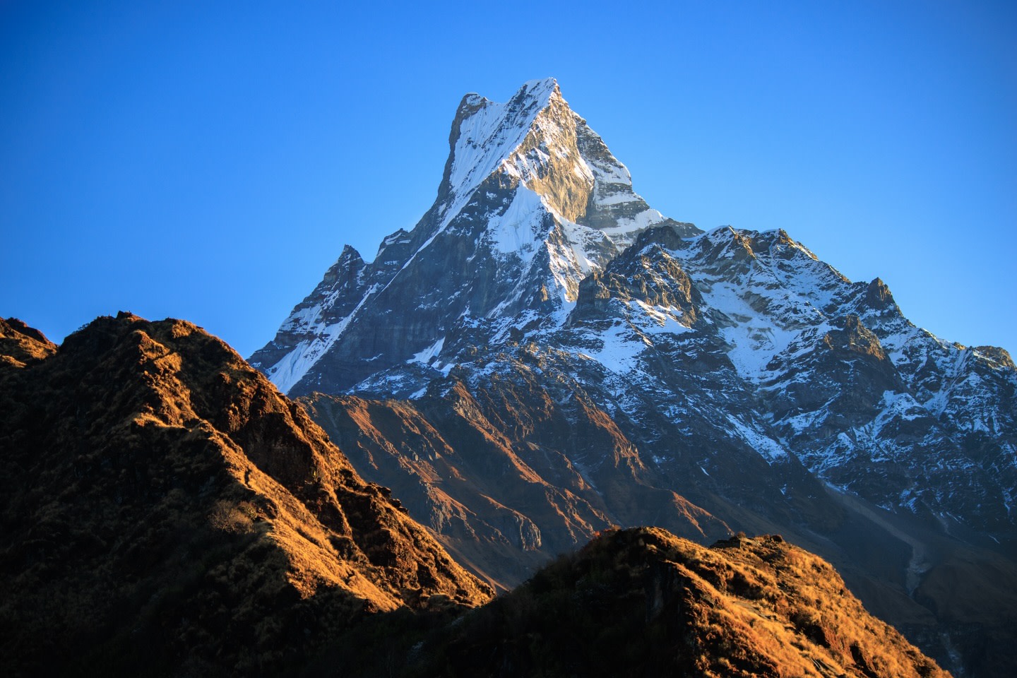 Mardi Himal Base Camp 5-Day Trek from Pokhara