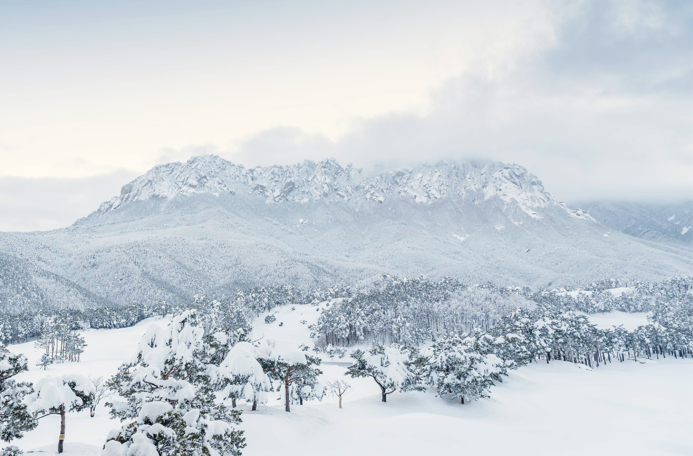 首爾雪嶽山 & Surfy海灘一日遊