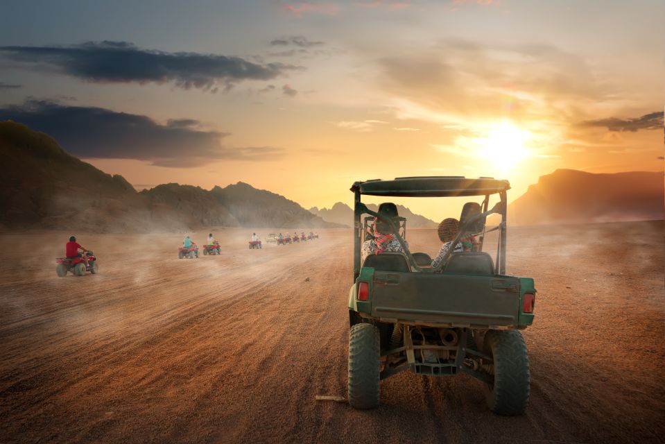 Sahl Hasheesh：四輪車、吉普車、越野車、駱駝（含晚餐和表演）