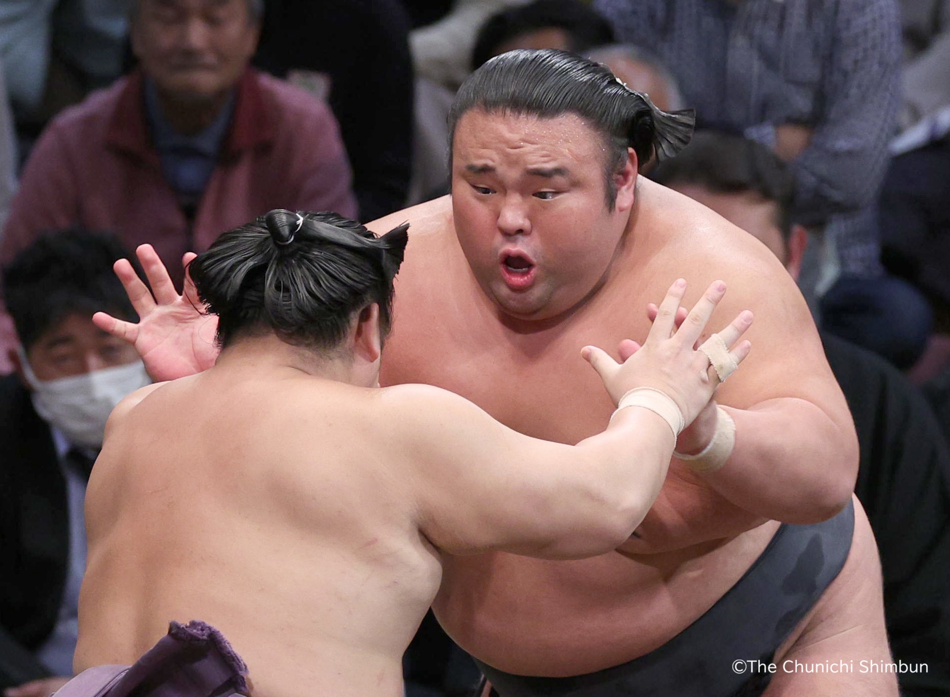 東京一日相撲比賽導覽遊
