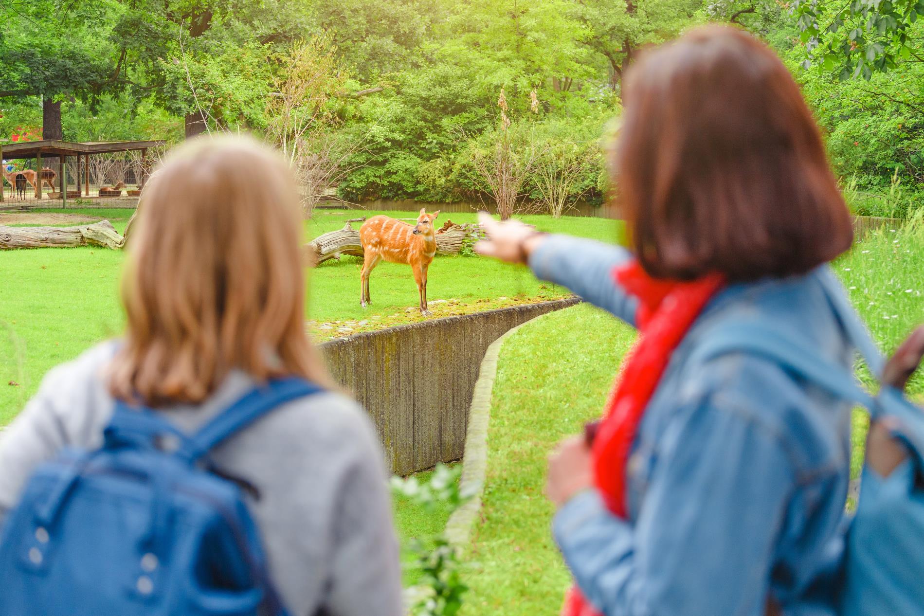 Prague River Cruise Tour with Prague Zoo Ticket