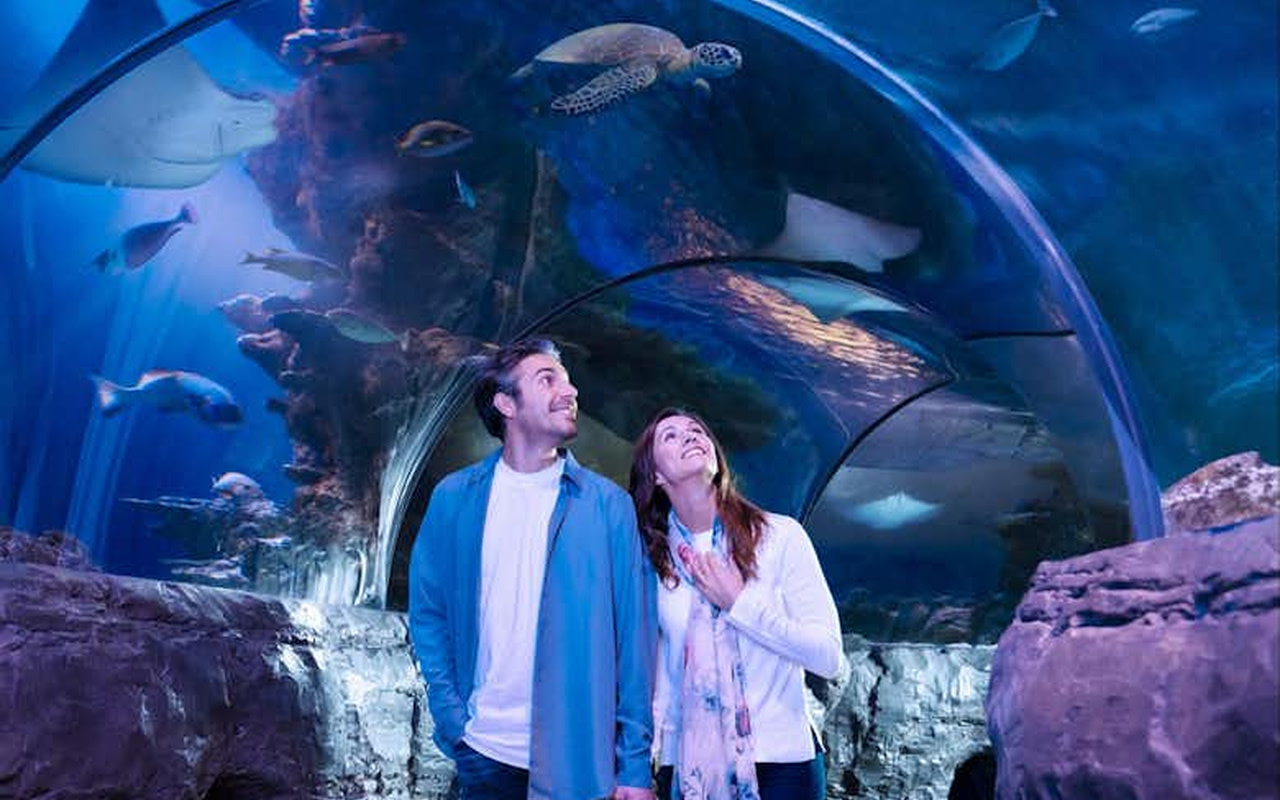 SEA LIFE San Antonio Ticket