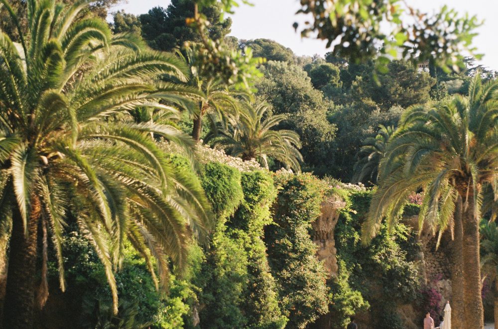 Park Güell Skip-the-Line Guided Tour