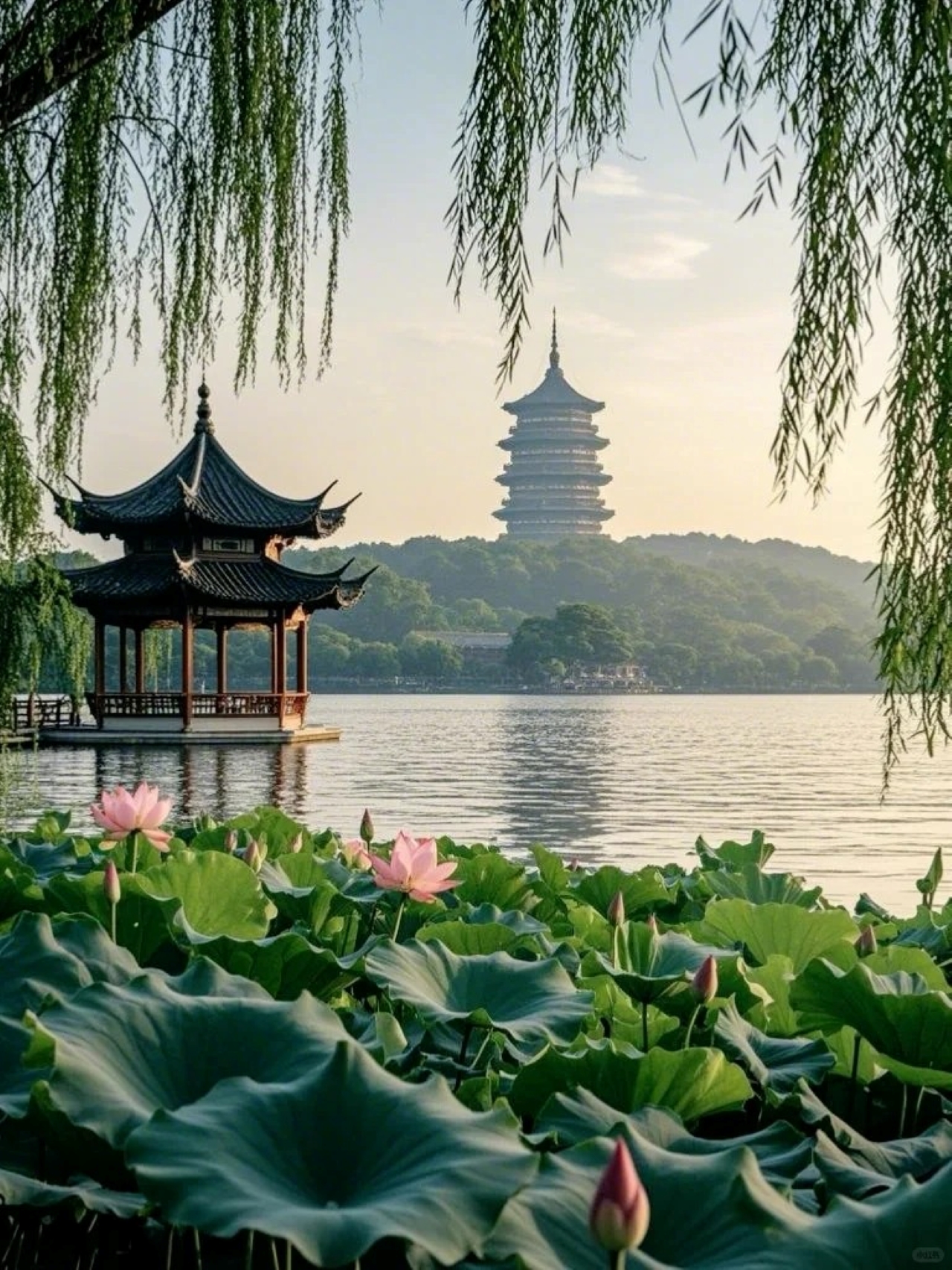 上海出發蘇州+杭州+烏鎮4日遊（上海集合&上海/杭州解散+拙政園+西湖+魔都夜景+夜遊烏鎮提燈+全程五鑽酒店+江南特色宴）