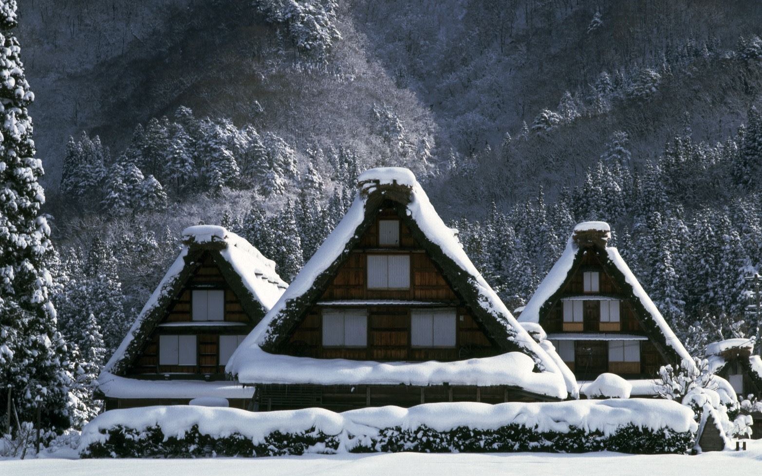 Kanazawa & Shirakawago 2-Day Bus Tour with Crab Dinner