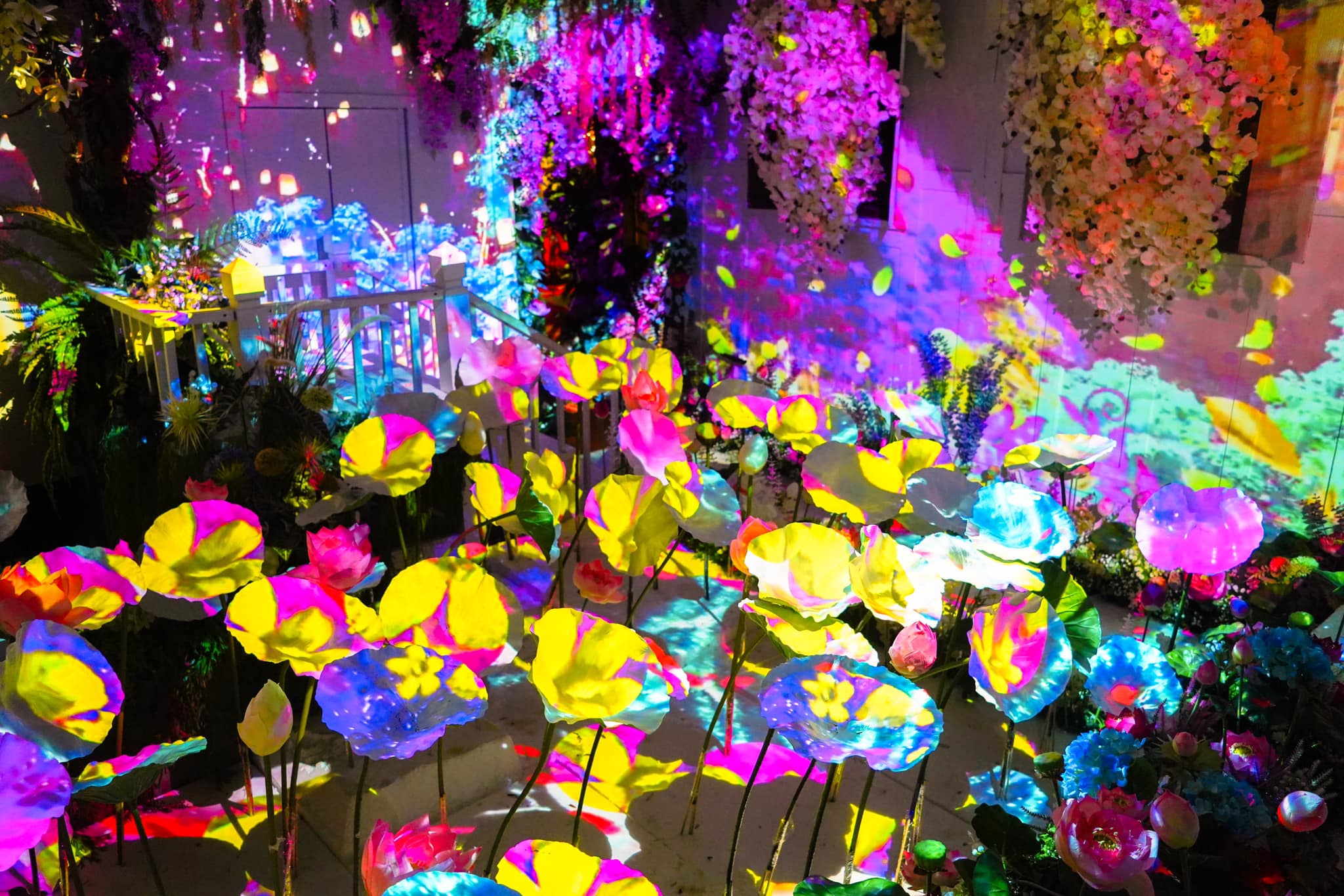 完美拍照點 – 每個區域都精心設計，讓您拍出驚豔美照。