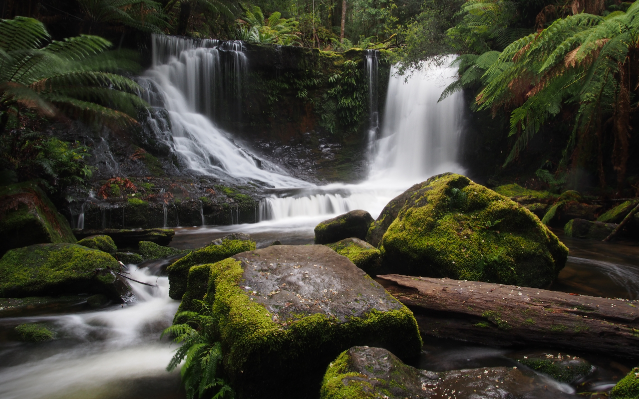 Witness nature's powerful beauty as waterfalls cascade over ancient moss-covered rocks
