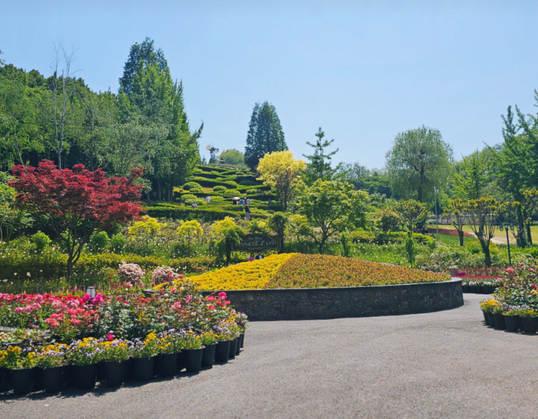 🌸 完美詮釋了歐洲花園的精髓！紅楓、黃色花海與翠綠山丘交織成一幅如畫美景。快來這裡捕捉你獨一無二的「人生美照」吧！