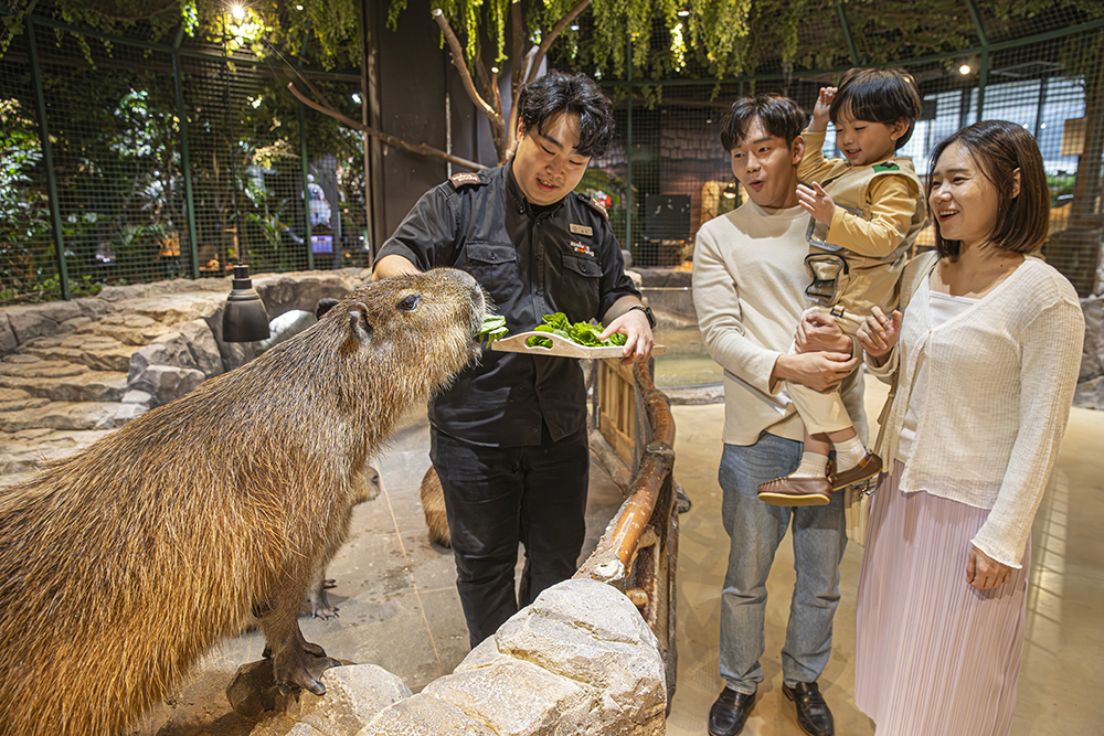 Gyeonggi Dongtan Zoolung Zoolung Indoor Animal Theme Park Ticket