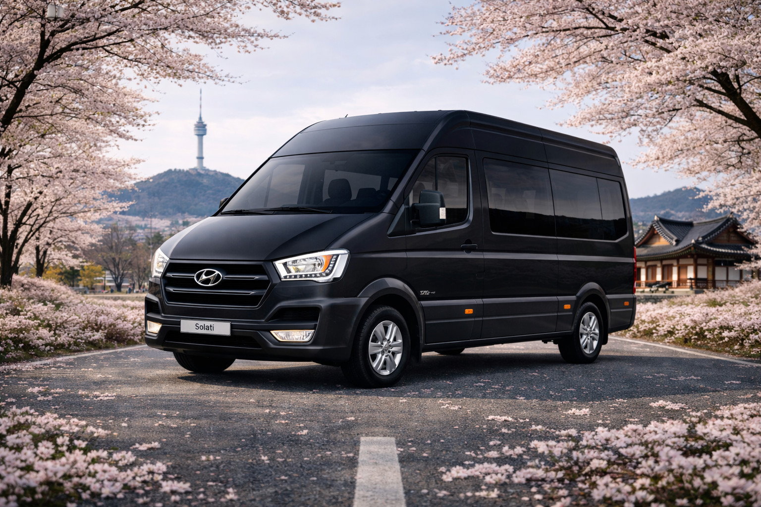 Private Tour in Korea's Popular Attractions Zone