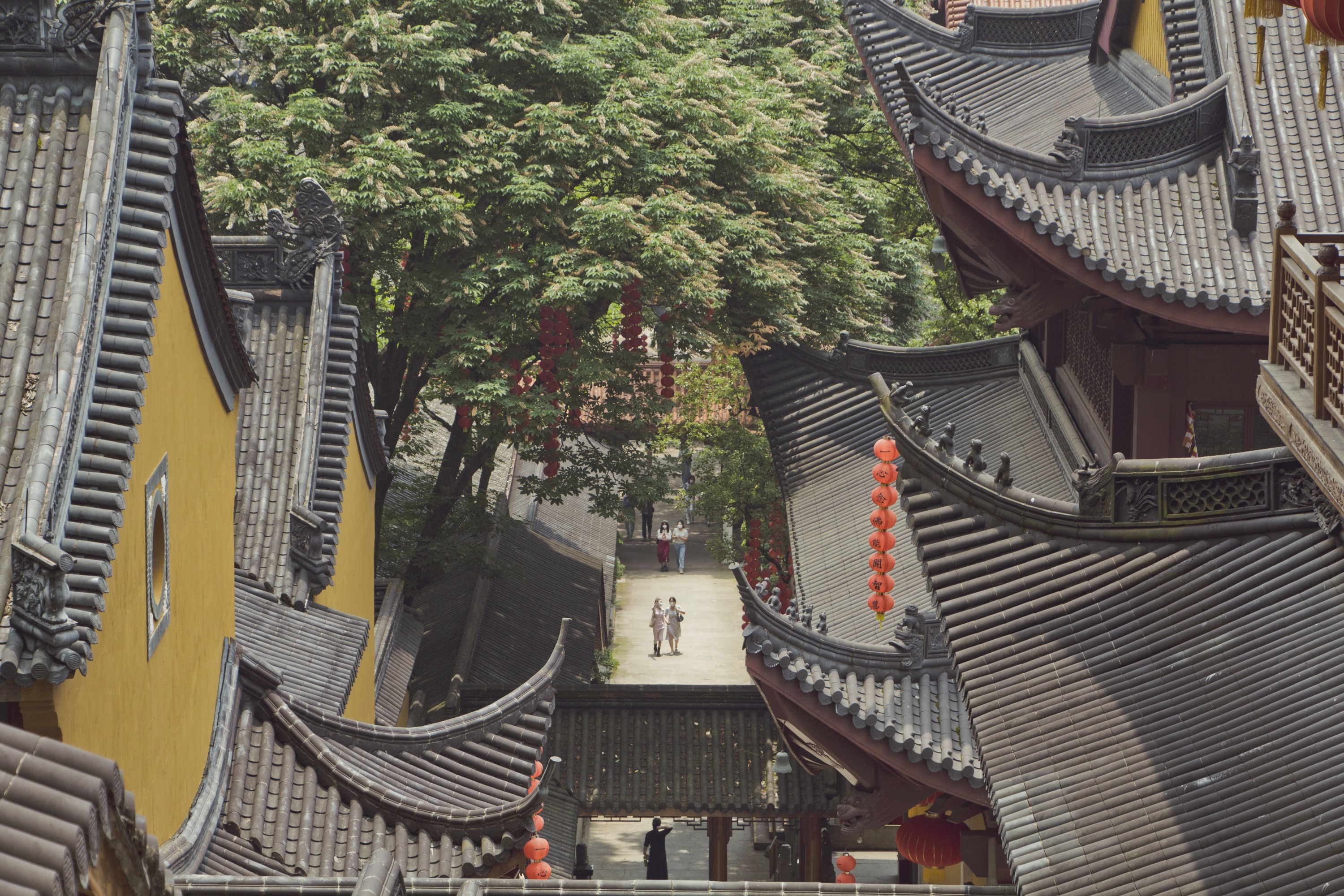 杭州靈隱寺&法喜寺&西湖 包車一日遊