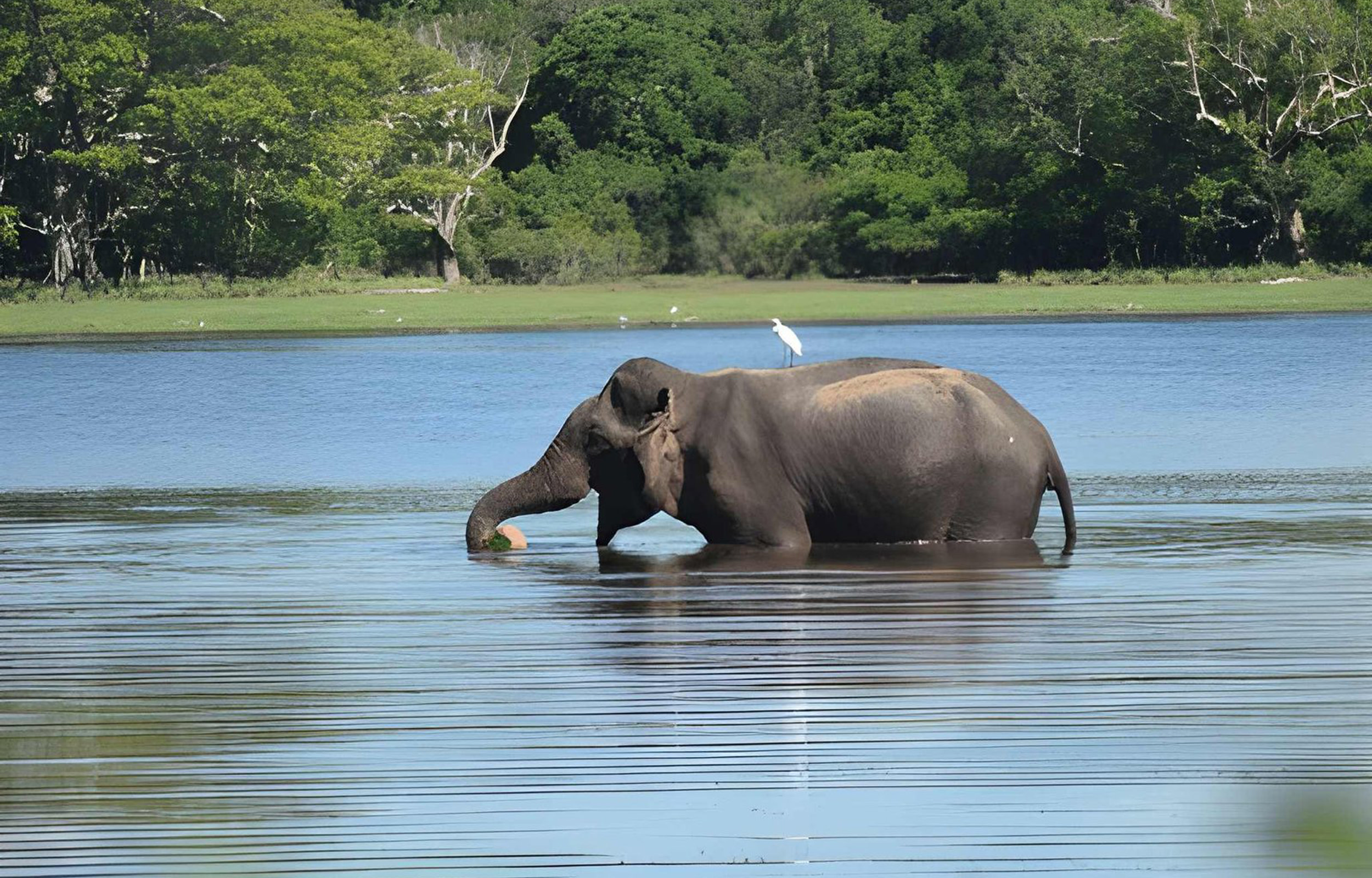 Gal Oya milliy bog‘ida qayiq safari