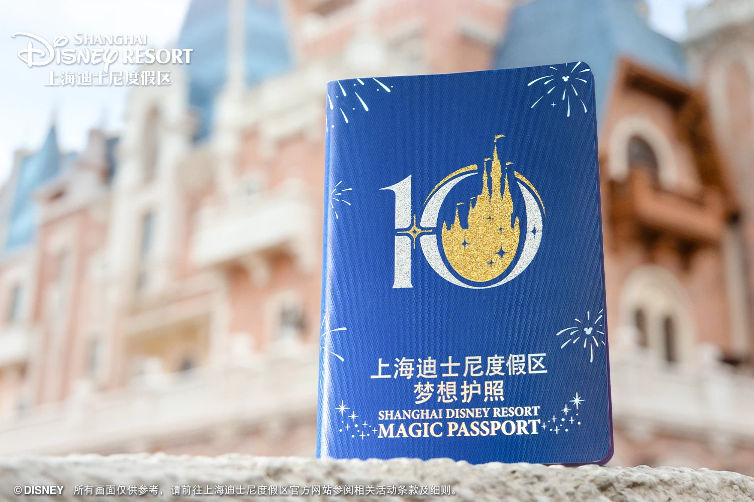 10th Birthday Theme Magic Passport coupon