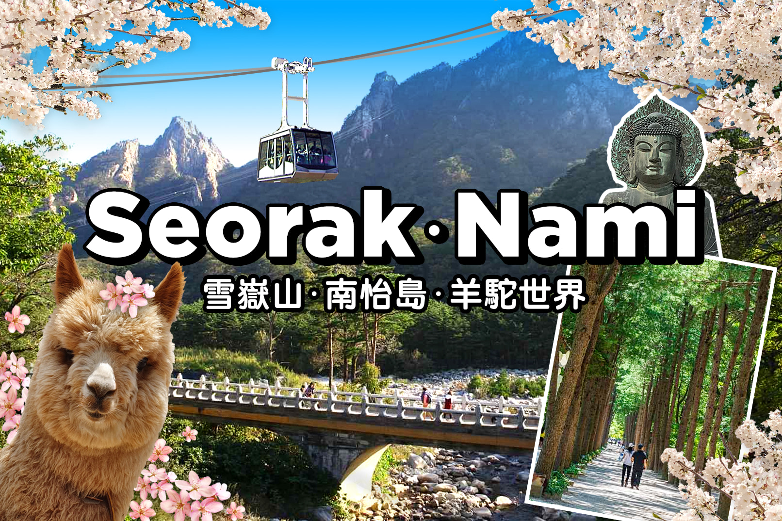 Seoraksan National Park + Nami Island + Garden of Morning Calm