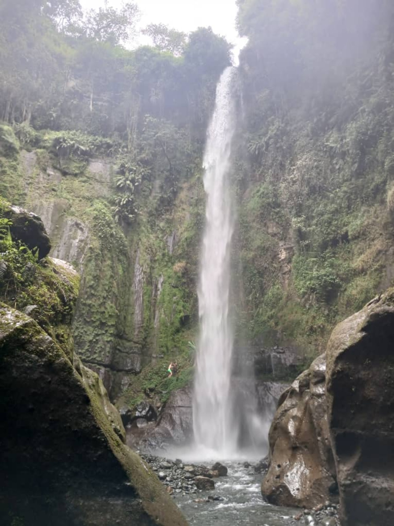 Napuru Waterfalls & Coffee Farm Day Tour