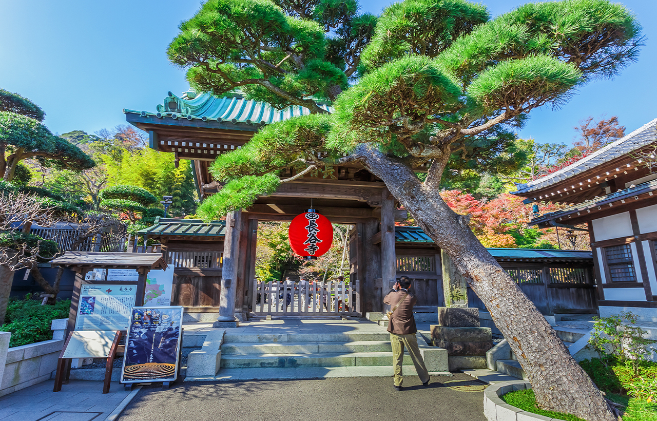 鎌倉大佛&江之電體驗&鎌倉高中&鶴岡八幡宮
