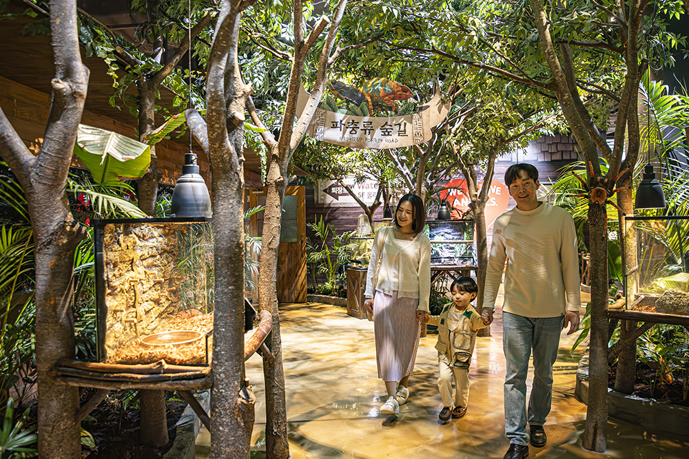 京畿道東灘Zoolung Zoolung室內動物主題公園門票