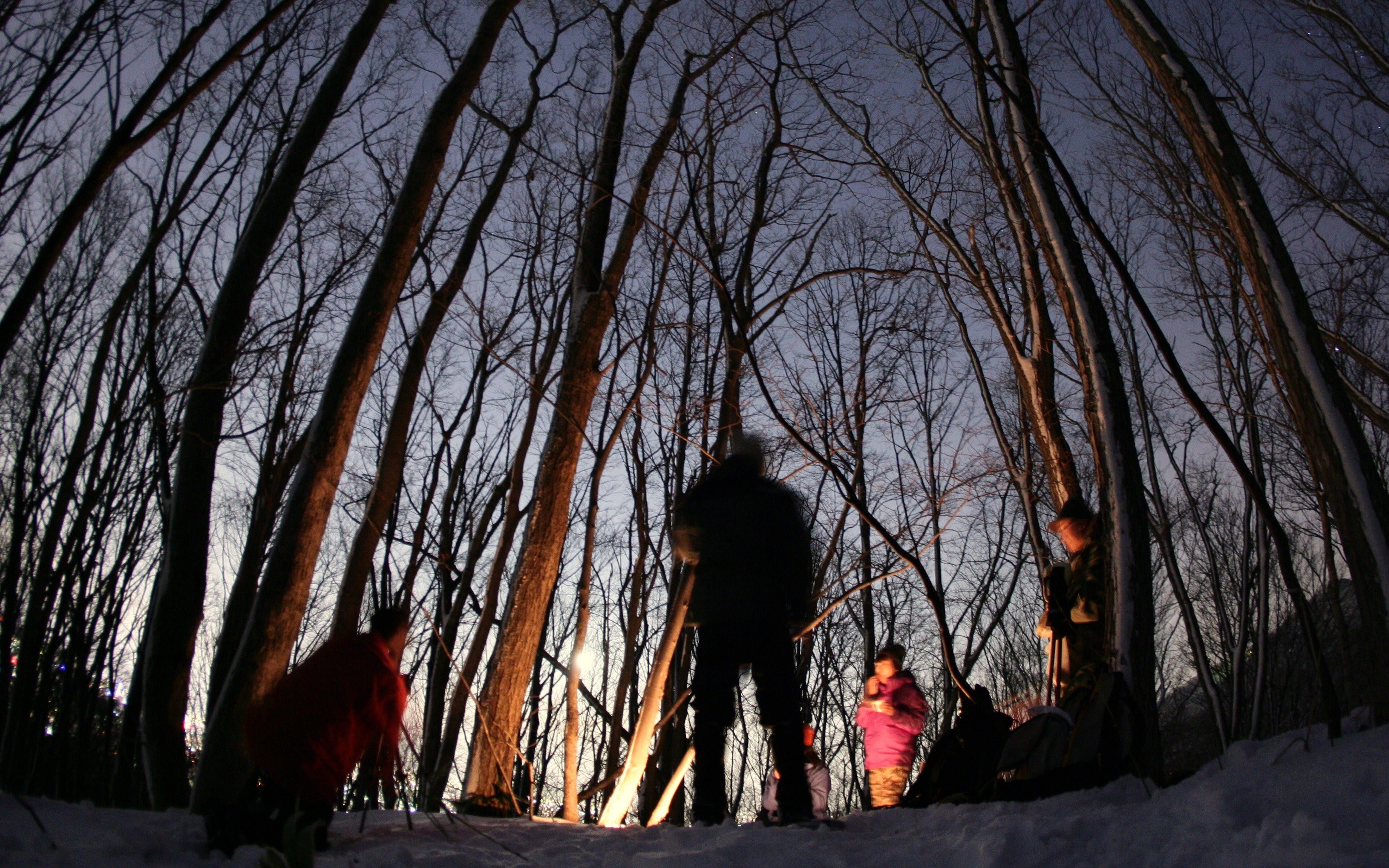 Sapporo Snow Hike & Night View Appreciation