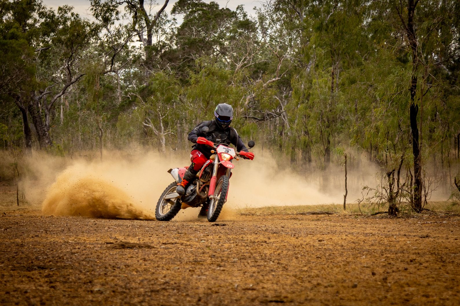 Cairns CREB Track & Black Mountain Road Multi-Day Guided Adventure