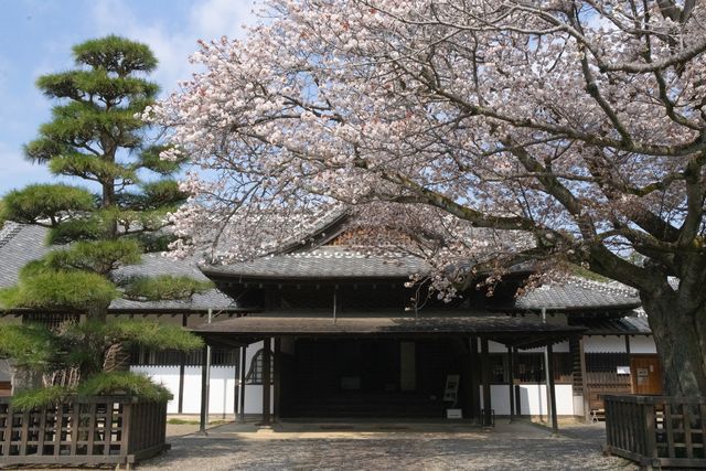Kodokan