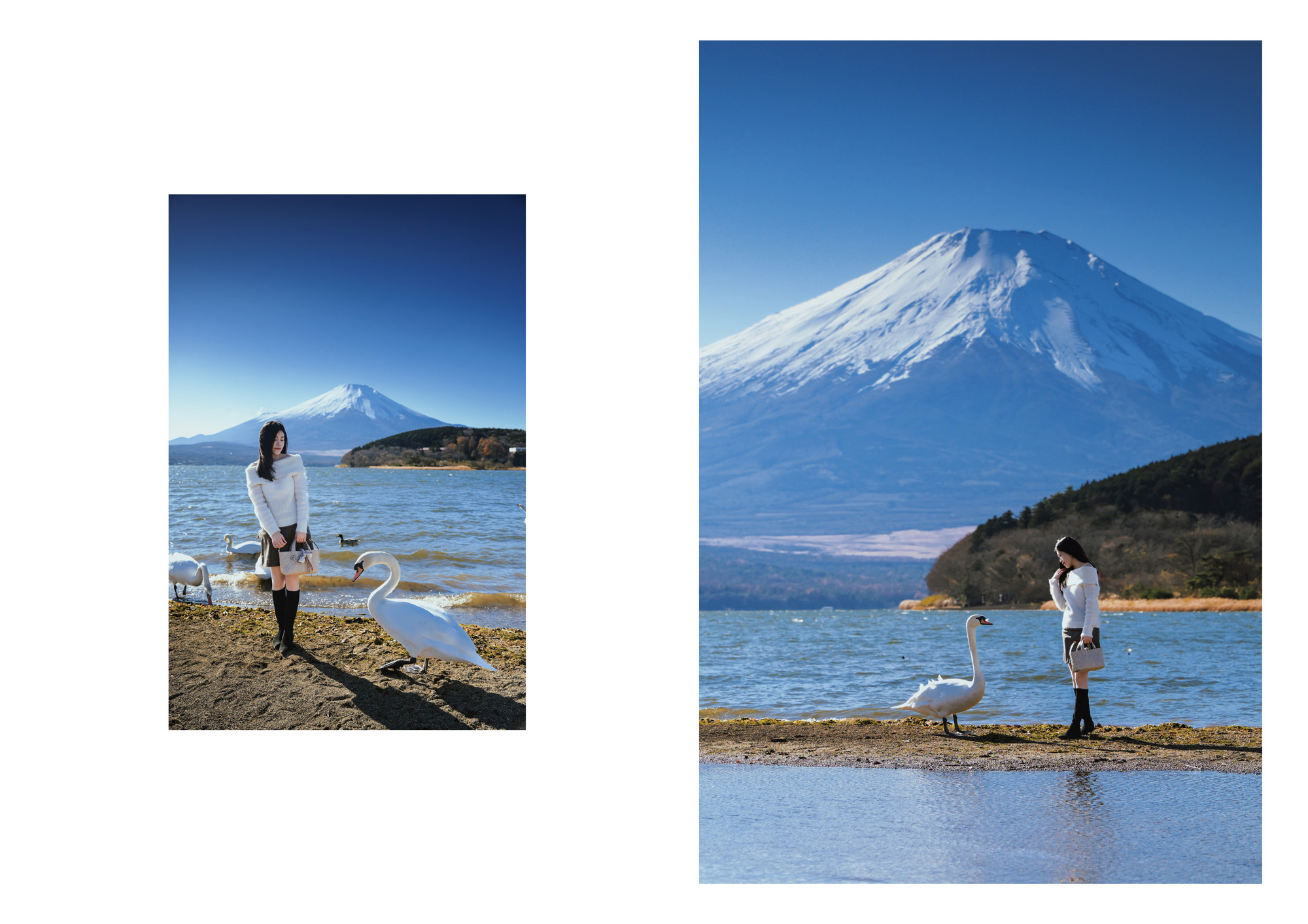攝影（富士山、輕井澤、鎌倉、川越等地探險也是可能的）