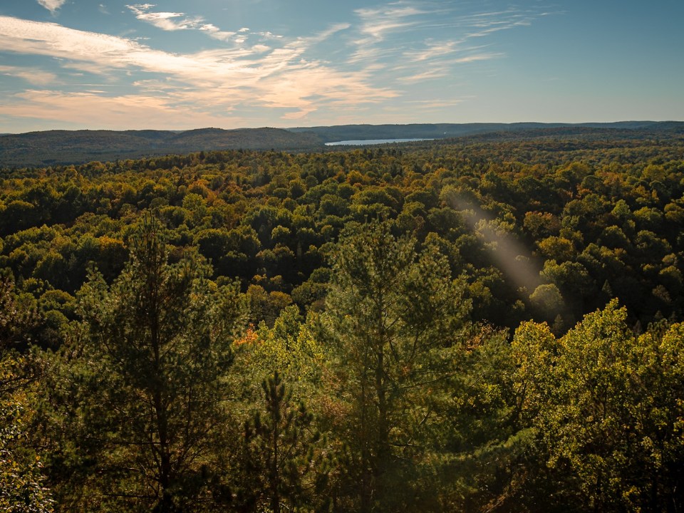 Falls & Forest Trails Algonquin Adventure in Canada