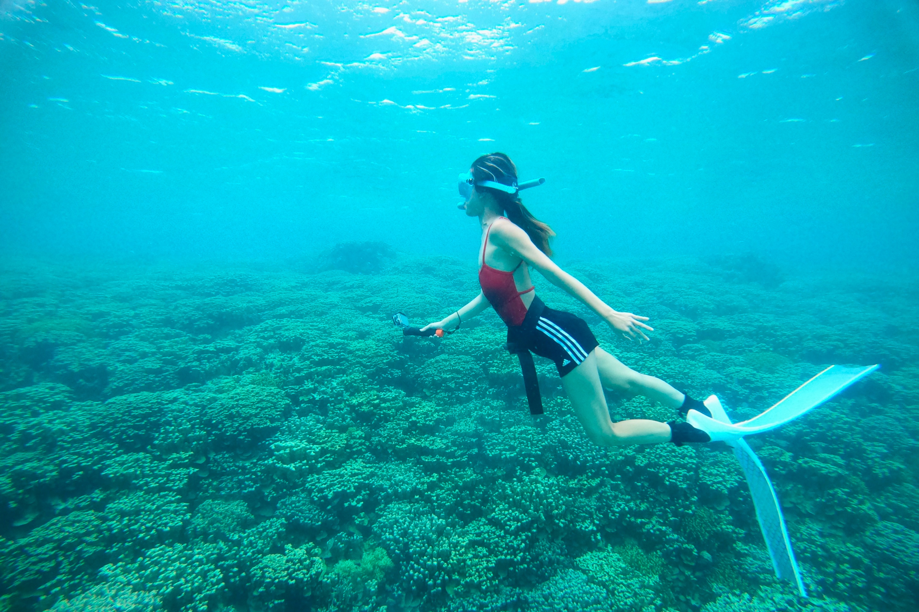 關島最佳自由潛水之旅