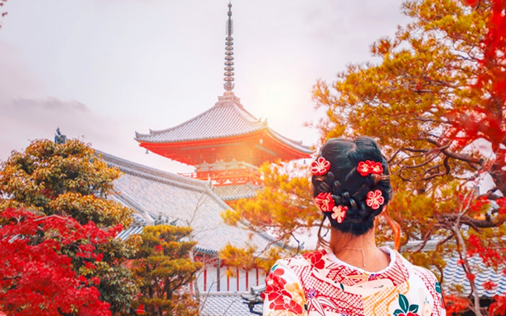 Kyoto Nara Day Trip - Kiyomizu-dera Temple, Fushimi Inari Taisha Shrine, Nara Park, Todai-ji Temple Day Trip (Osaka and Kyoto boarding available)