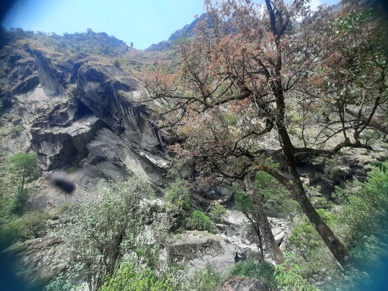 Wild honey stong scenic view during the trek