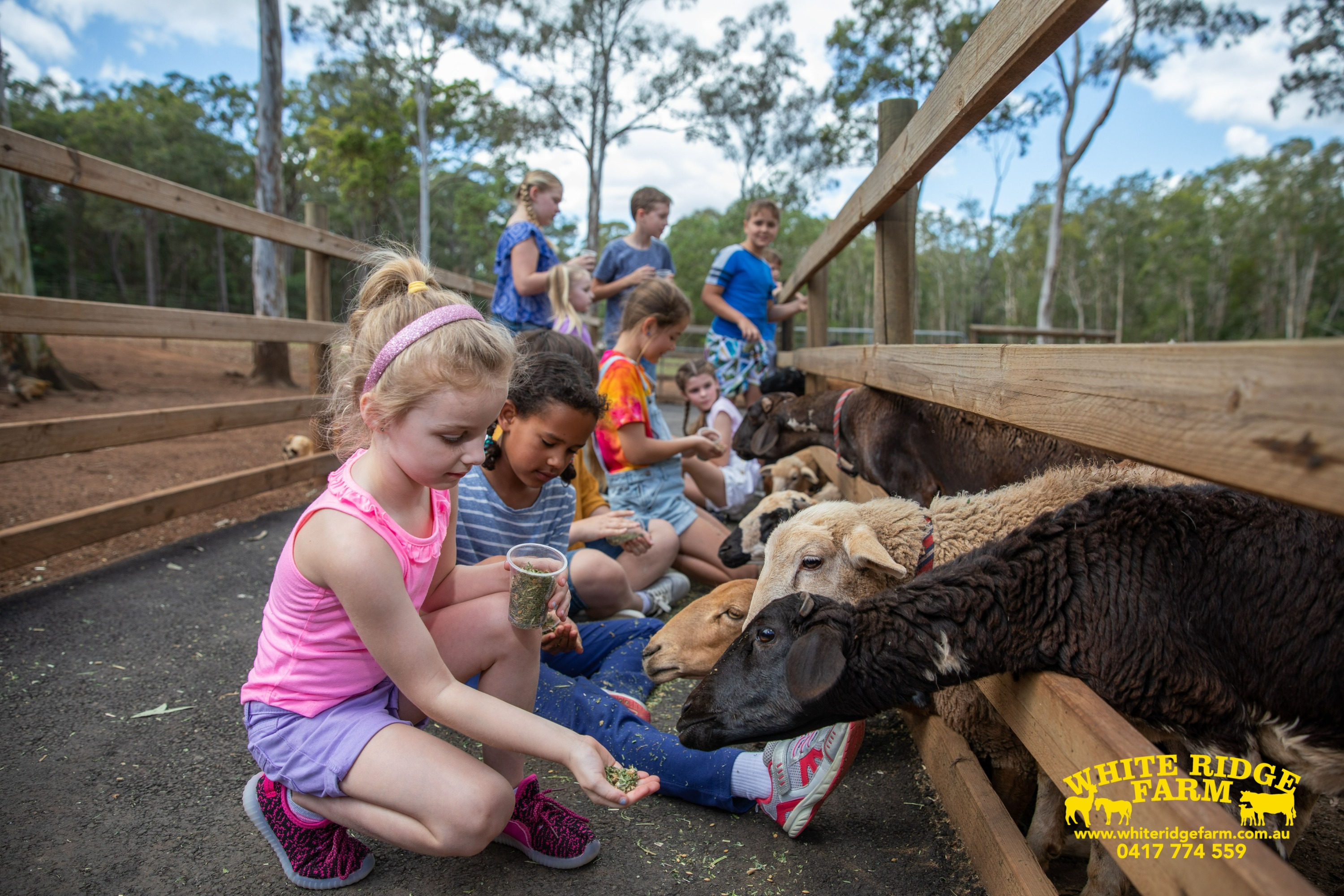 Animal Farm Experience in Brisbane