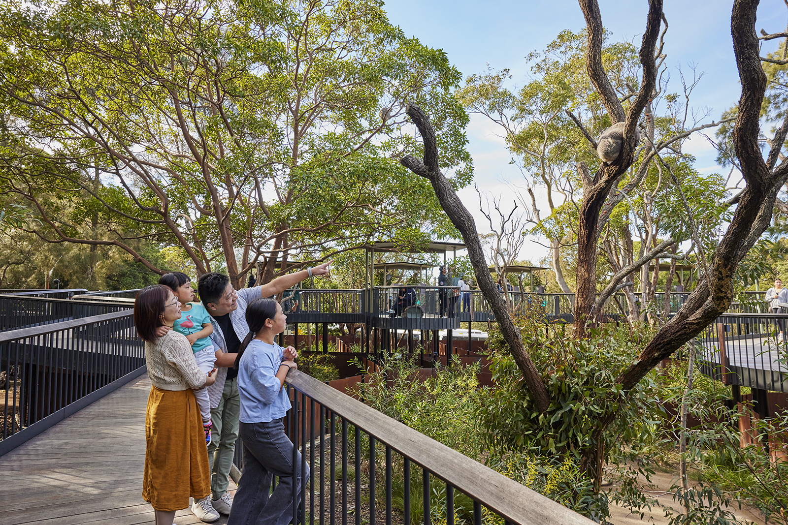 Discover Taronga’s conservation initiatives and their efforts in protecting endangered Australian species