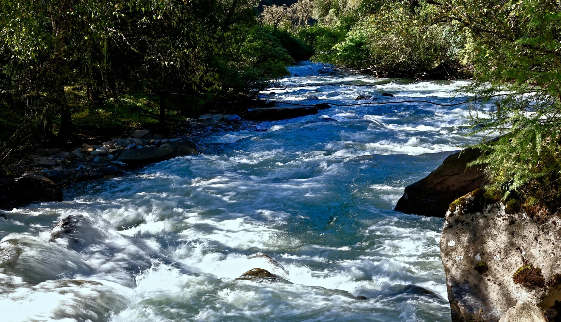 長坪溝是徒步愛好者的天堂，原始森林、溪流、雪山構成絕美畫卷。從喇嘛寺到木騾子，每一步都充滿野趣，若體力允許，走到深處更能邂逅四姑娘山的真容。