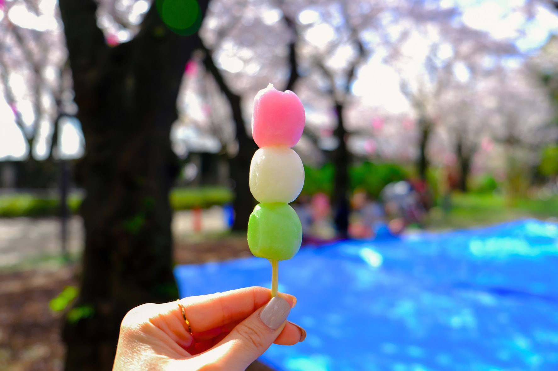 [東京櫻花季] 代代木公園或飛鳥山公園櫻花野餐半日遊