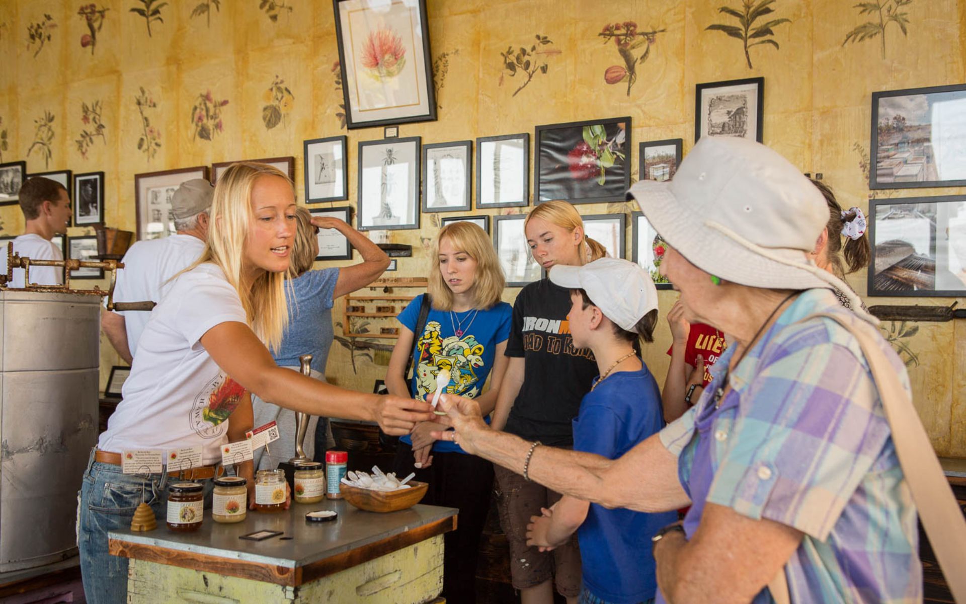 在 Big Island Bees 參與互動式品嚐活動，品嚐當地生產的蜂蜜。