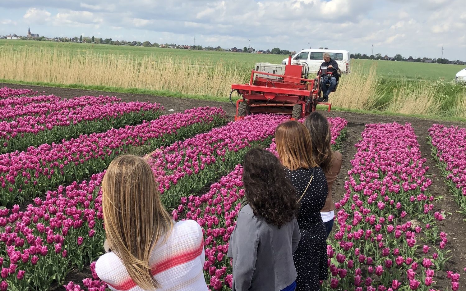 The Early Flower field daytrip from Amsterdam
