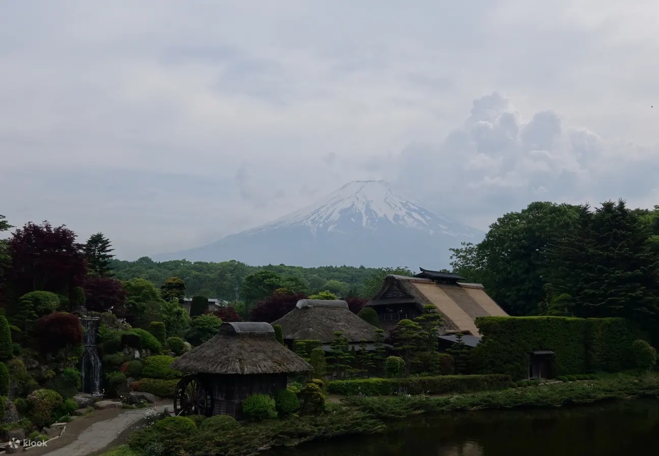 Mount Fuji One Day Tour (Departing from Tokyo)