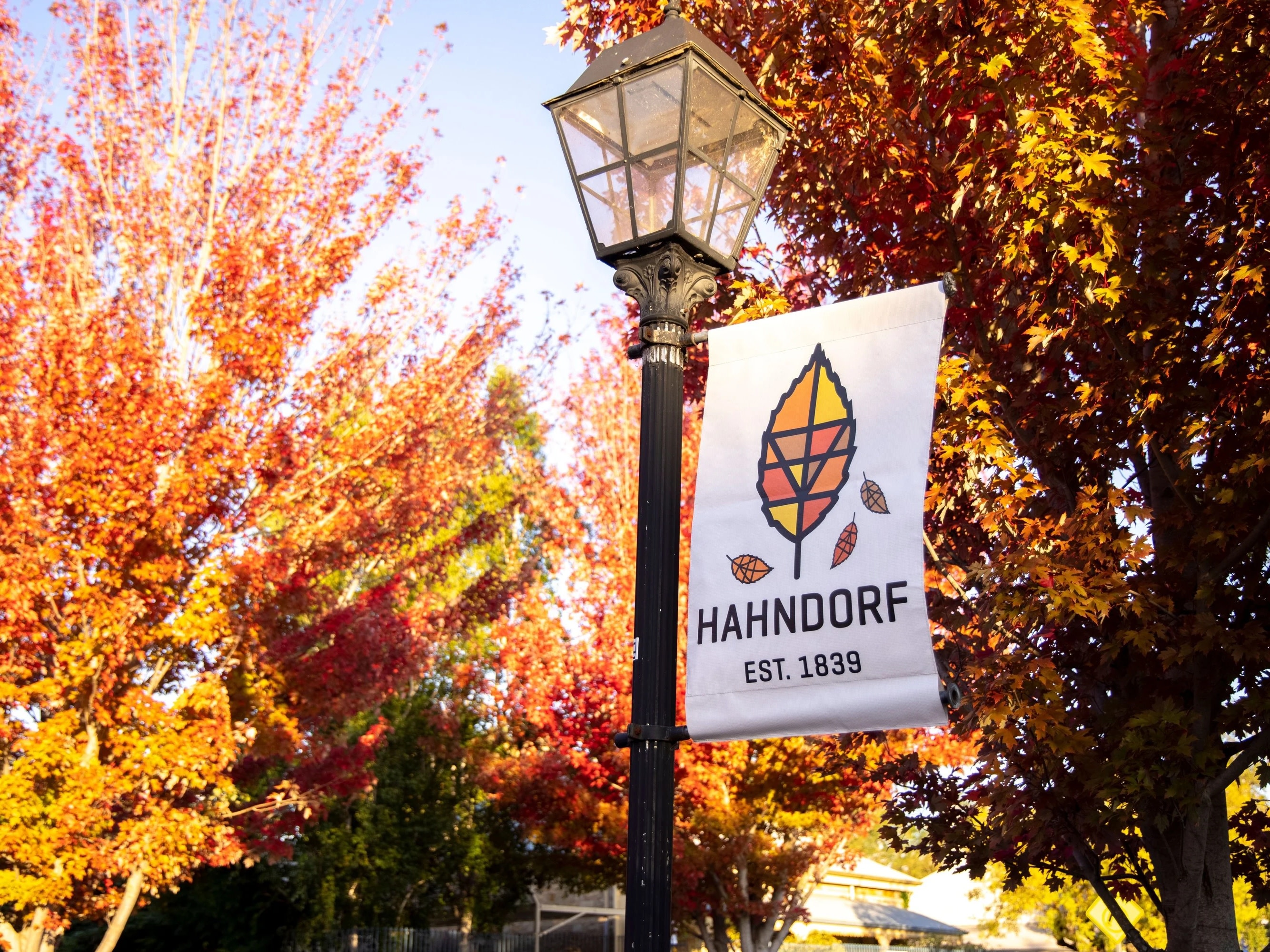 Adelaide Highlights with Wine Tasting & Coast Full Day Tour