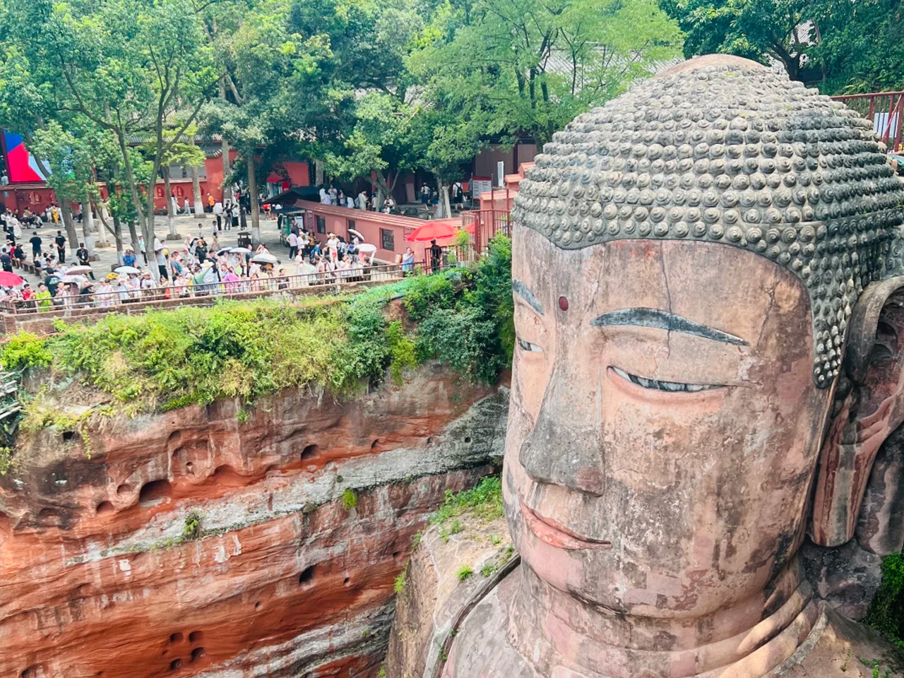 Panda Base + Leshan Giant Buddha One-Day Tour [Small Group of 2-8 People | All-Inclusive | Door-to-Door Pickup]