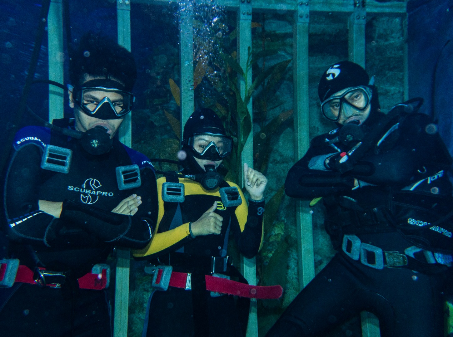 [SALE] [Klook Exclusive] Cage Rage Experience by Aquaria KLCC in Kuala