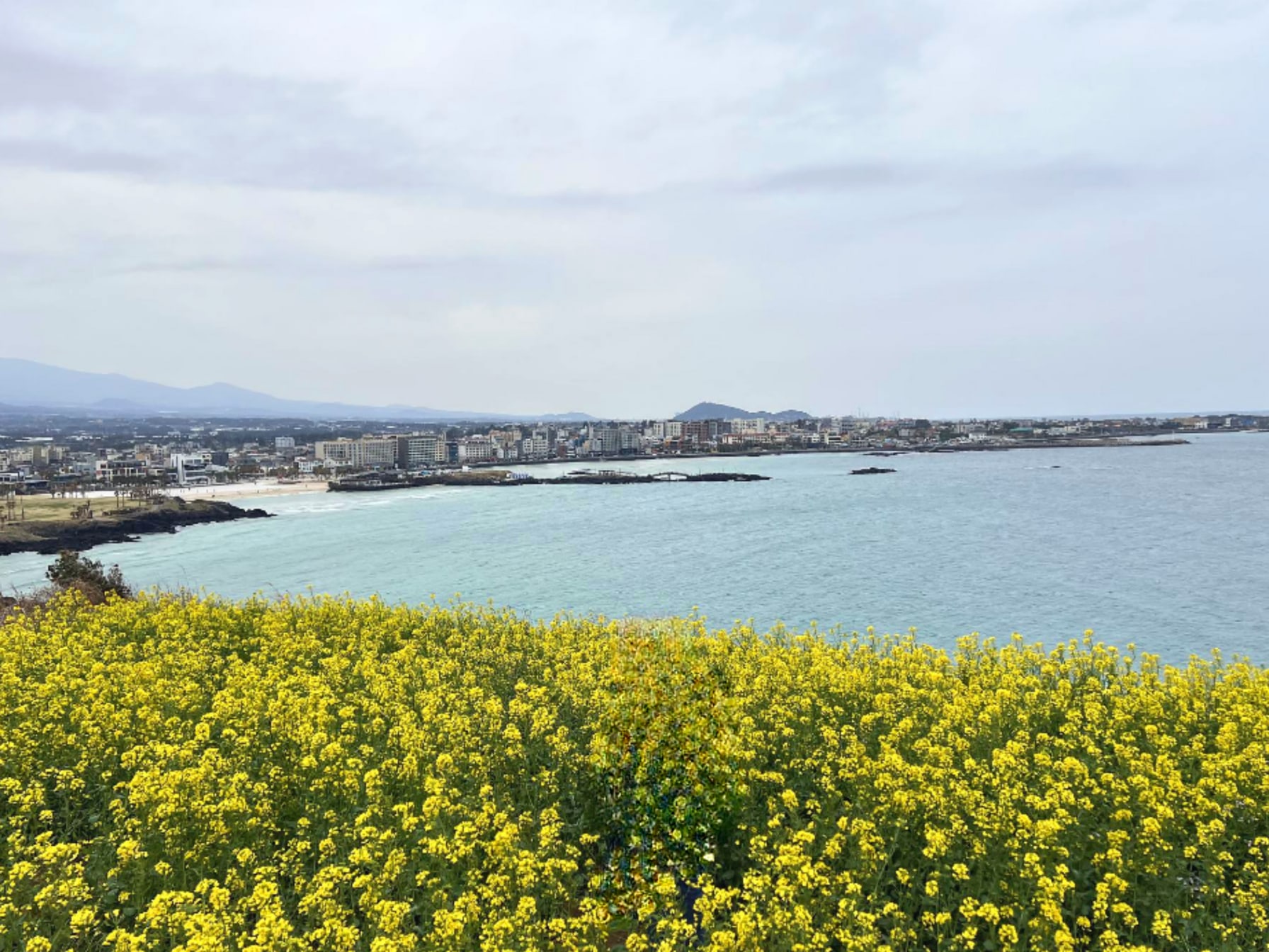 Jeju's Eastern Euphoria One Day Tour with Seongsan ilchulbong, Cave