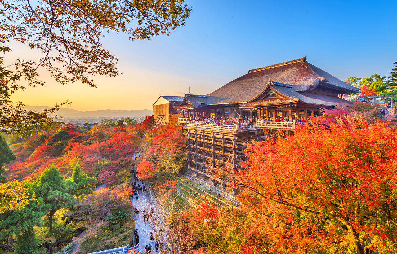 京都+奈良+清水寺區域-和服體驗+八坂神社+伏見稻荷大社+奈良公園-看鹿和楓葉的奈良公園+東大寺