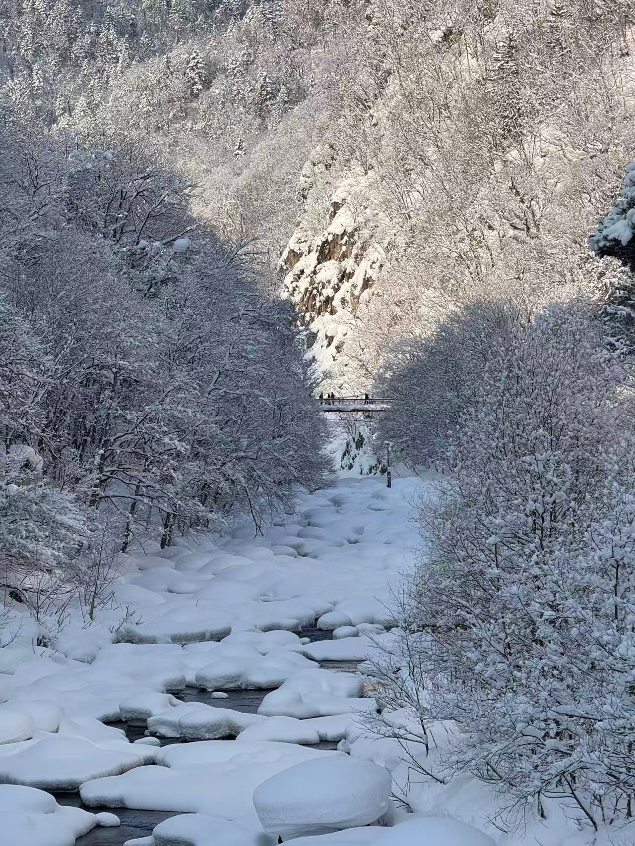 冬季的溪谷被白雪覆蓋,靜謐而純淨。 冬季的溪谷被白雪覆蓋,靜謐而純淨。