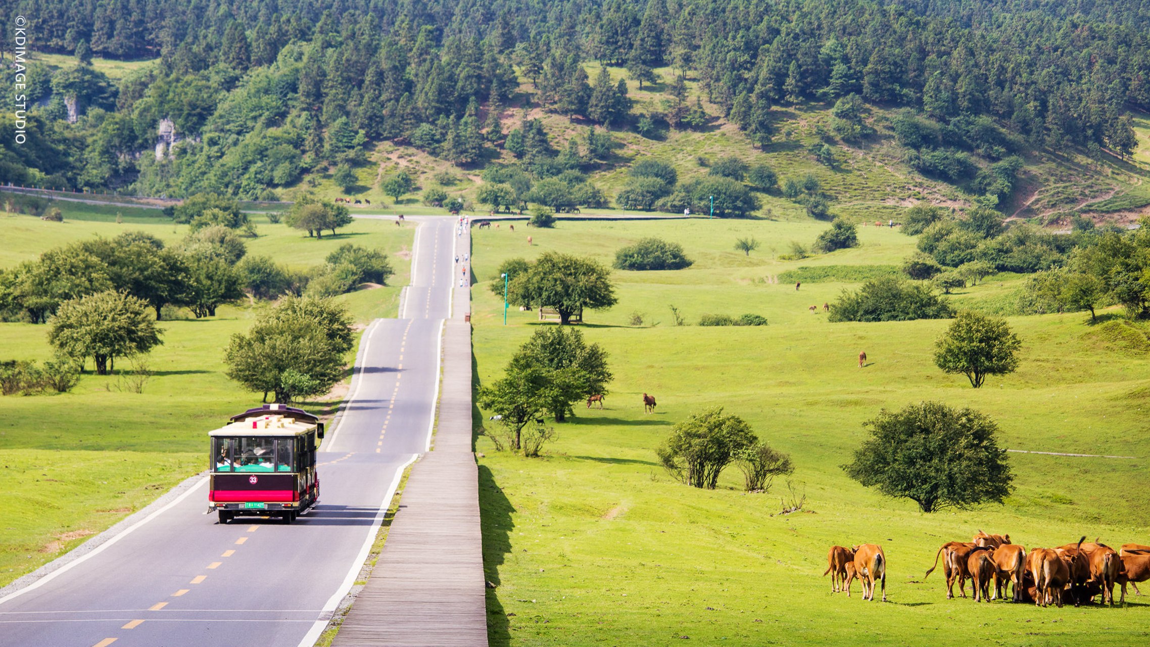 乘著仙女山小火車往返，穿梭草原風光，隨心探索。小火車路線沿途可以欣賞到仙女山的美麗風光，終點站是草場。