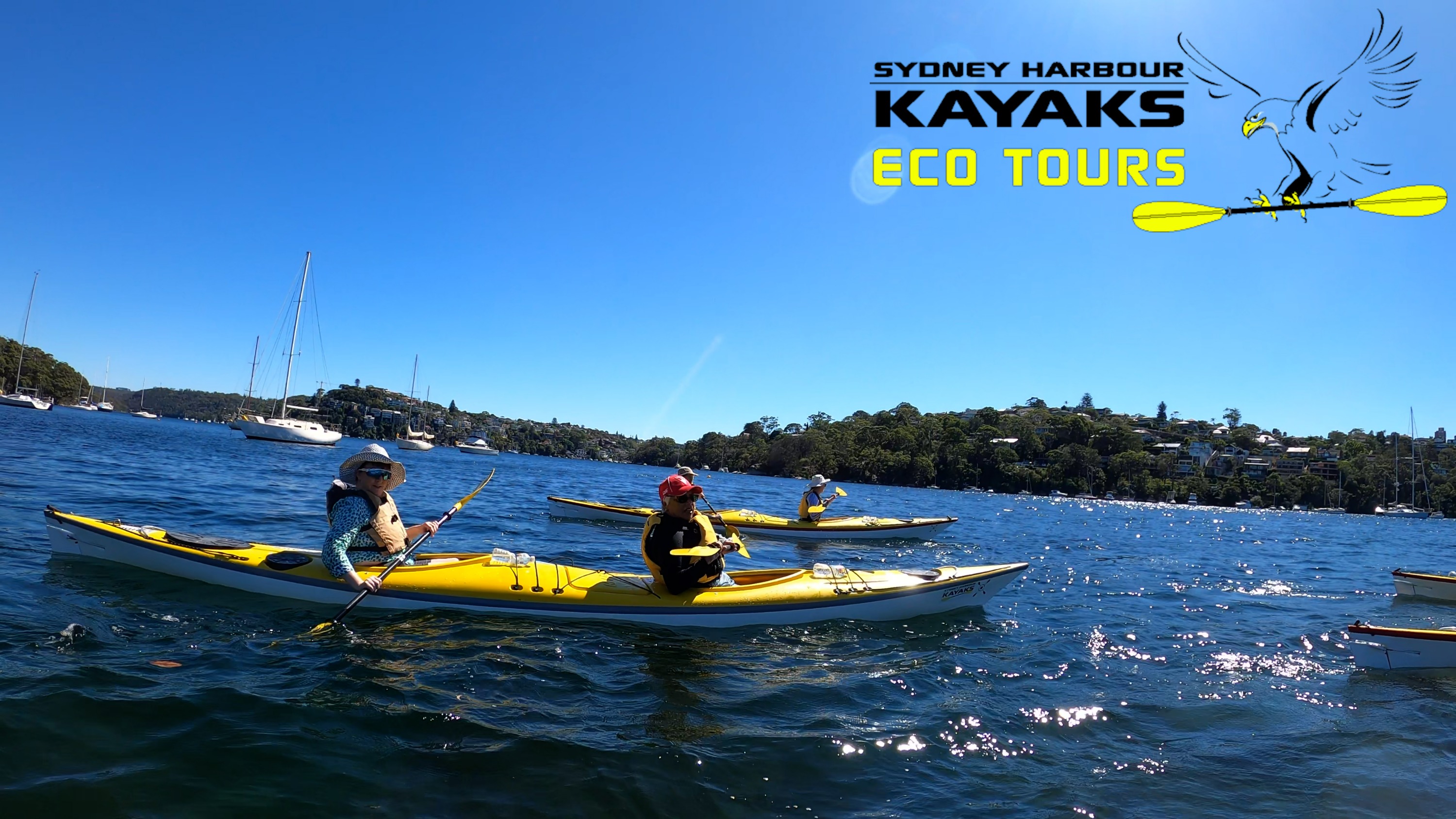 雪梨中港皮划艇生態之旅（Sydney Harbour Kayaks提供）